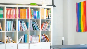 Michigan dad takes legal action against Grosse Pointe school for banning pride flag video