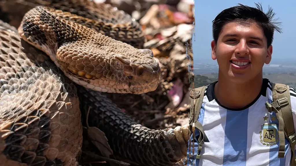 Mountain biker in California passes away after being bitten by a rattlesnake on a trail