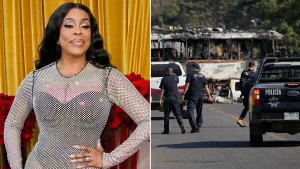 Niecy Nash remained at home during cartel violence in Mexico