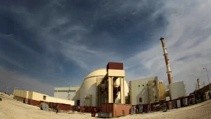 Nuclear chief warns that an attack on Iran's Bushehr plant would breach safety boundaries.