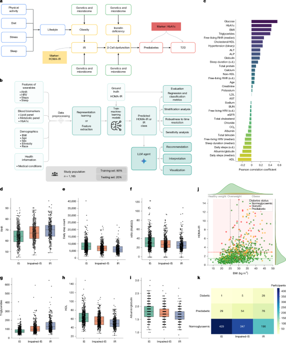 Predicting insulin resistance using wearables and common blood markers