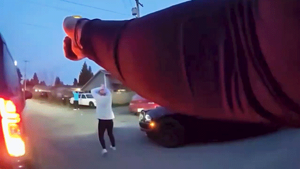 Repeat offender caught after fast car chase and shoplifting incidents.