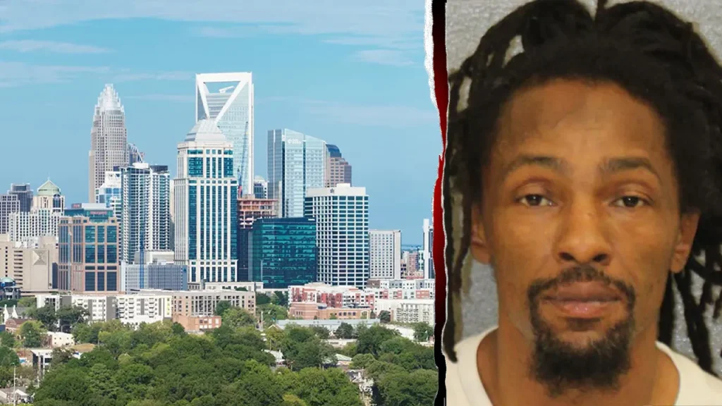 Repeat offender faces murder charges in Charlotte hit-and-run case