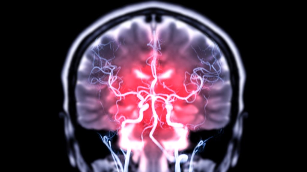 Research in Mice Shows Gut Bacteria Could Directly Access the Brain