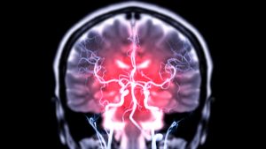 Research in Mice Shows Gut Bacteria Could Directly Access the Brain