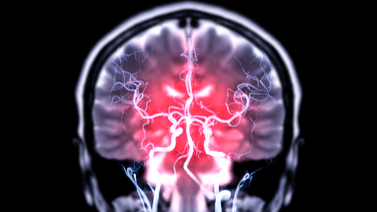 Research in Mice Shows Gut Bacteria Could Directly Access the Brain