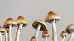 Researchers Caution Against Overhyping Psychedelic Antidepressants