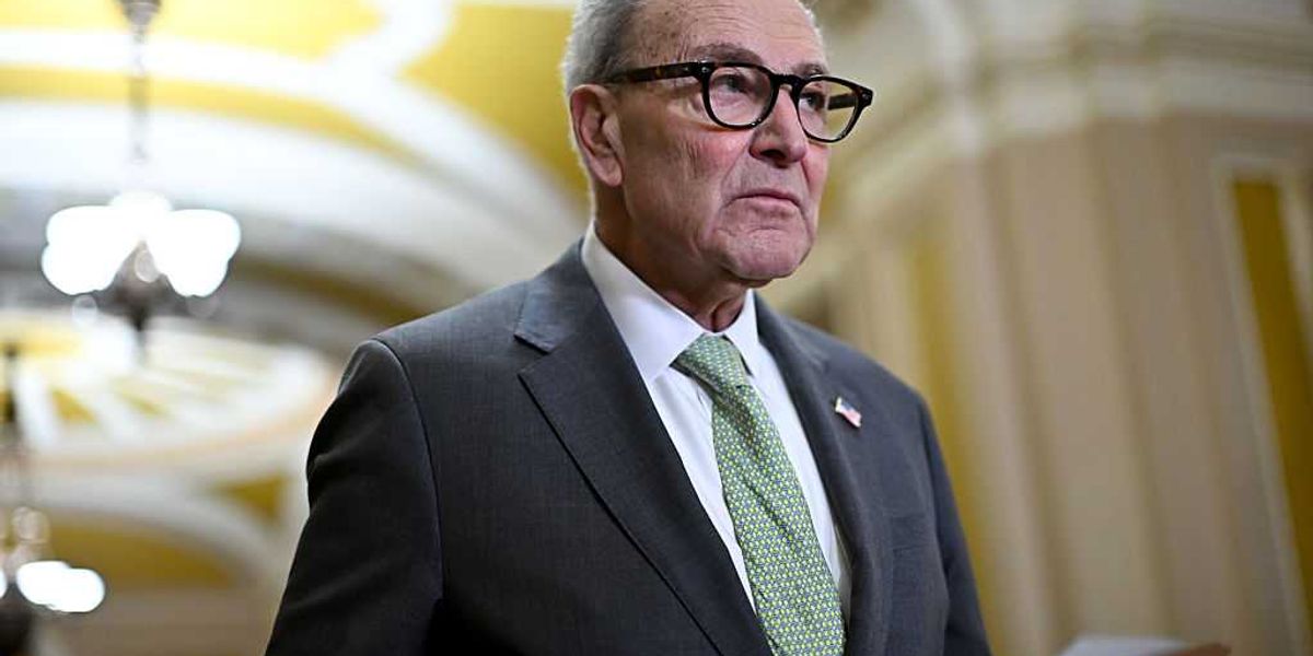 Schumer's SAVE Act claims keep deteriorating, enabling ICE to remove tens of billions from voter rolls.