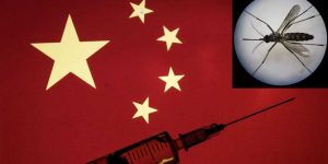 Scientists in China have transformed mosquitoes into flying vaccines that can still bite people.