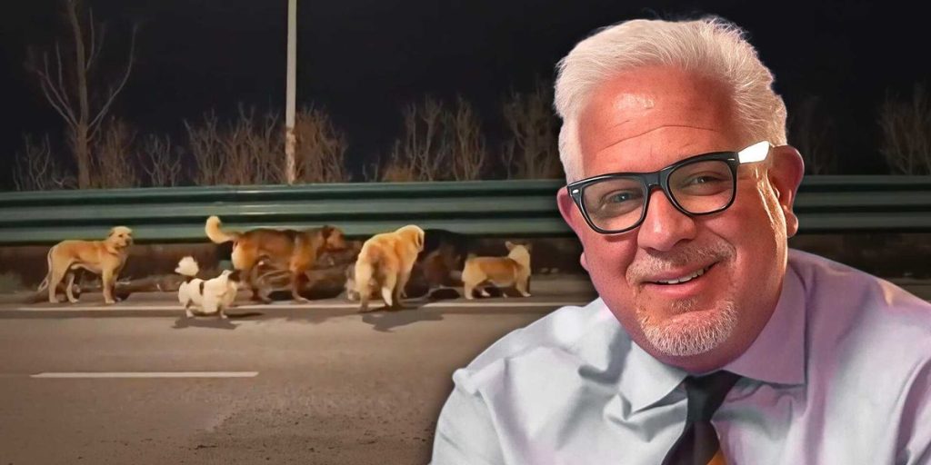 Seven dogs meant for China's illegal meat trade surprisingly find their way home together — but that's just part of the story, according to Glenn Beck.