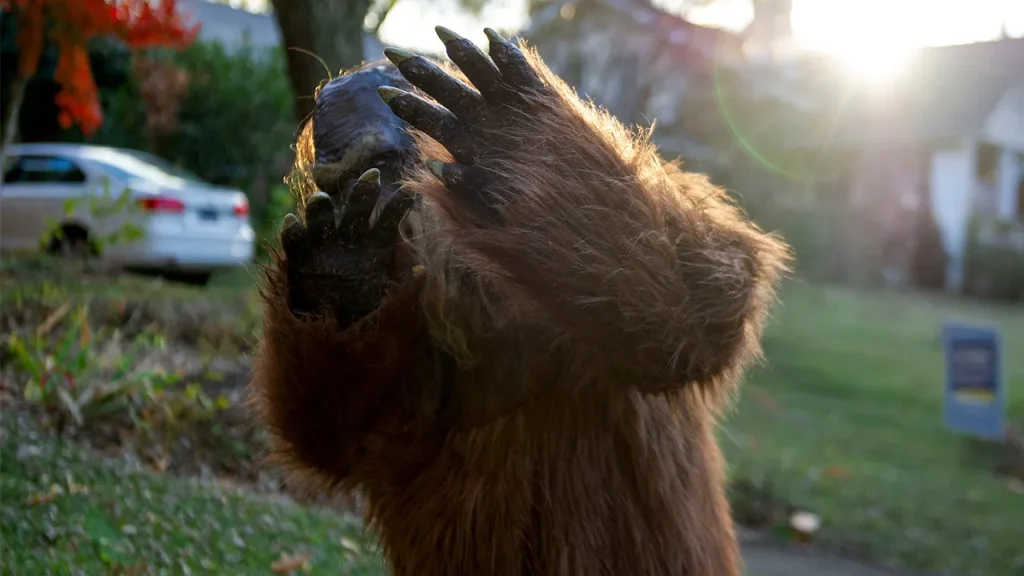 Six Bigfoot sightings recorded in northeast Ohio within four days