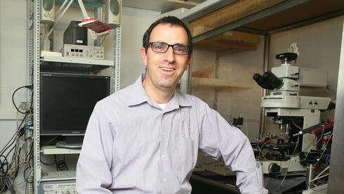 Study reveals that one system can 'take control,' providing new insights into