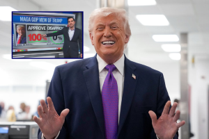 Survey: All MAGA Republicans back Trump