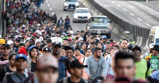 Survey Reveals That Few Migrants Under Biden Sought Asylum