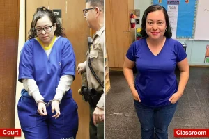 Teacher Colleen Jo Matarico, accused of rape, hardly resembles herself in court