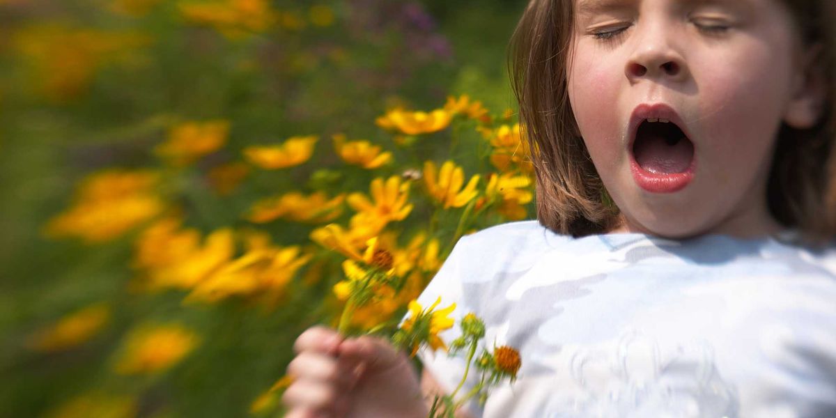 The 5 best apps to help you manage your seasonal allergies