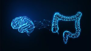 The Connection Between Your Gut and Brain Might Provide a New Approach to Combat Cognitive Decline