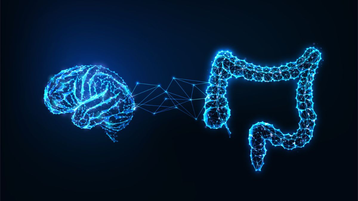 The Connection Between Your Gut and Brain Might Provide a New Approach to Combat Cognitive Decline