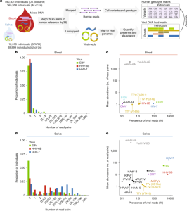 The DNA virome changes with human genetics and surroundings.