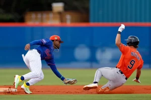 The significant truth about Mets' young prospect Elian Pena
