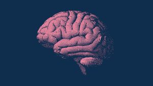 This Distinct Diet May Delay Brain Aging by More Than 2 Years, Research Indicates