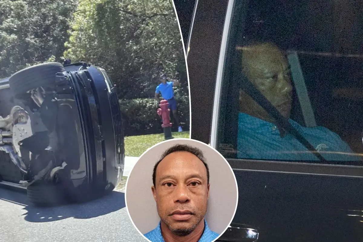 Tiger Woods ought to stop playing golf following his DUI accident, says Brandel Chamblee