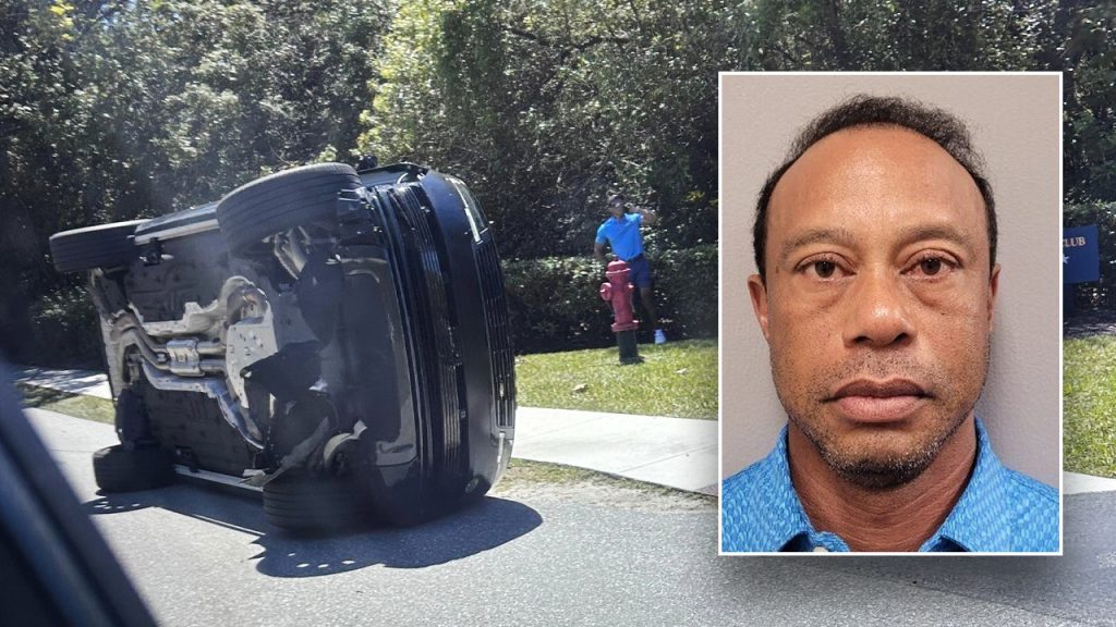 Tiger Woods' police photo made public