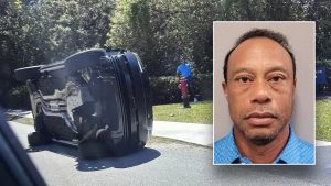 Tiger Woods' police photo made public