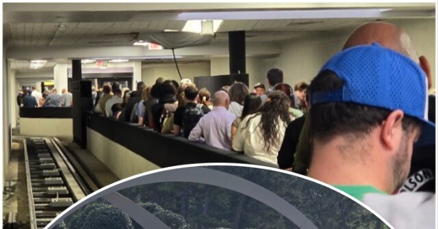 Travelers Experience Benefits from ICE Officers Assisting TSA at a Key Texas Airport