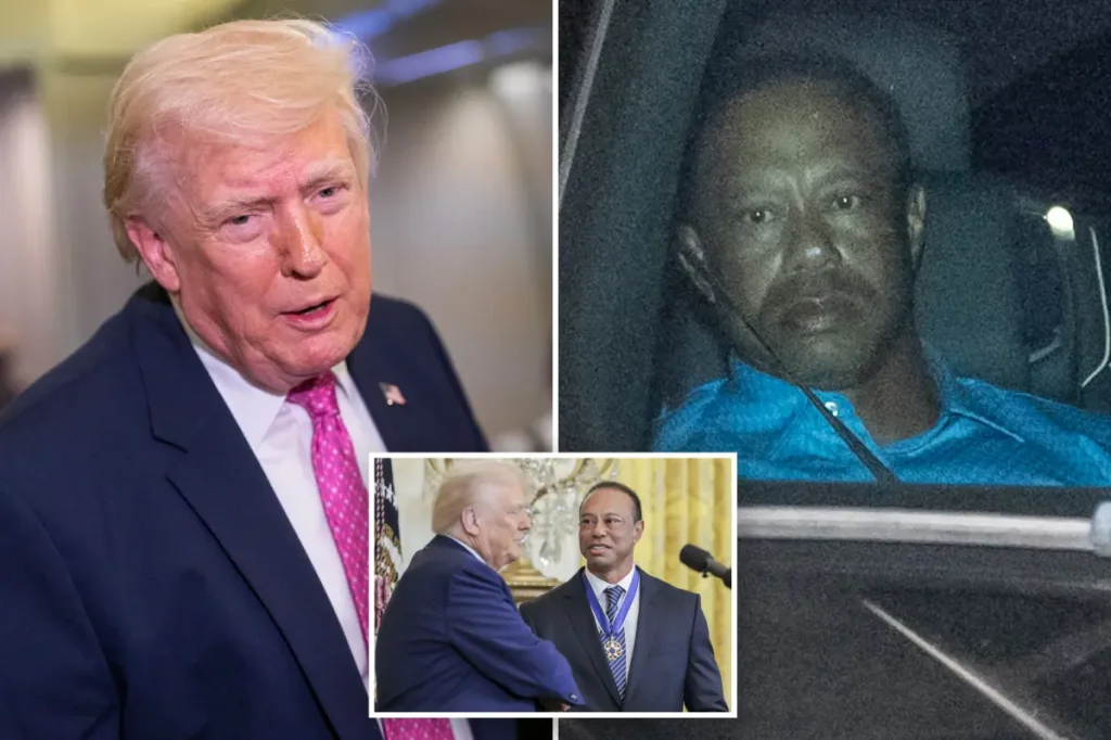 Trump comments on Tiger Woods' Florida rollover DUI incident, saying Vanessa's boyfriend faces 'a life of pain'