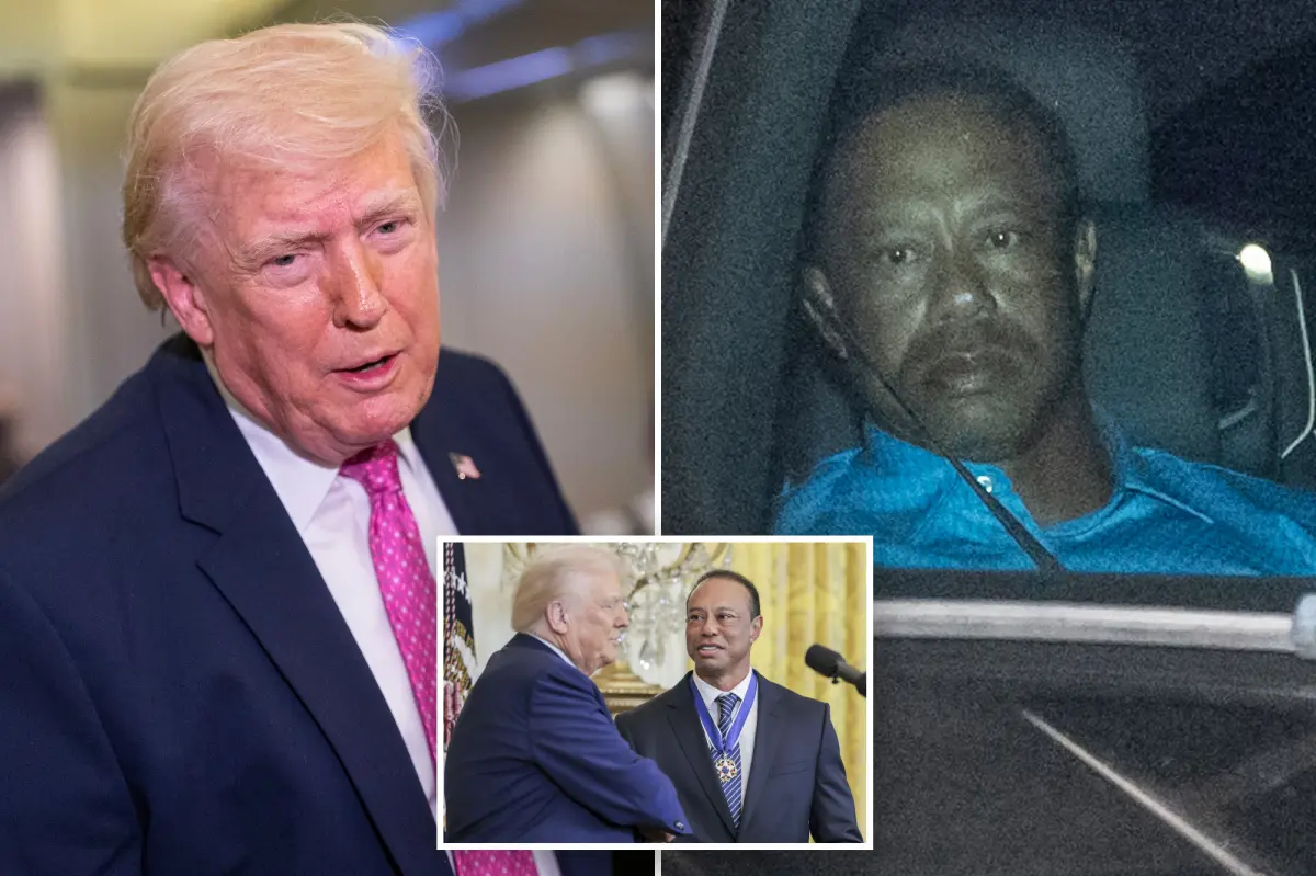Trump comments on Tiger Woods' Florida rollover DUI incident, saying Vanessa's boyfriend faces 'a life of pain'