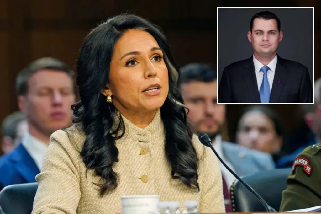 Tulsi Gabbard brings on former Pentagon official doubtful about US involvement in war with Iran.