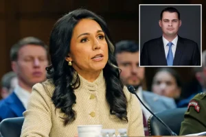 Tulsi Gabbard brings on former Pentagon official doubtful about US involvement in war with Iran.