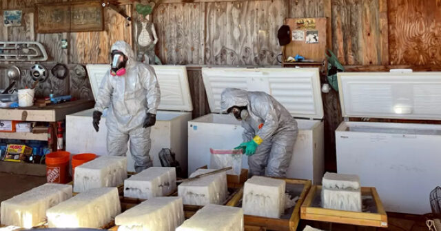 Two Migrants from the Biden Era's 'Catch & Release' Program Charged in California Meth Lab Operation