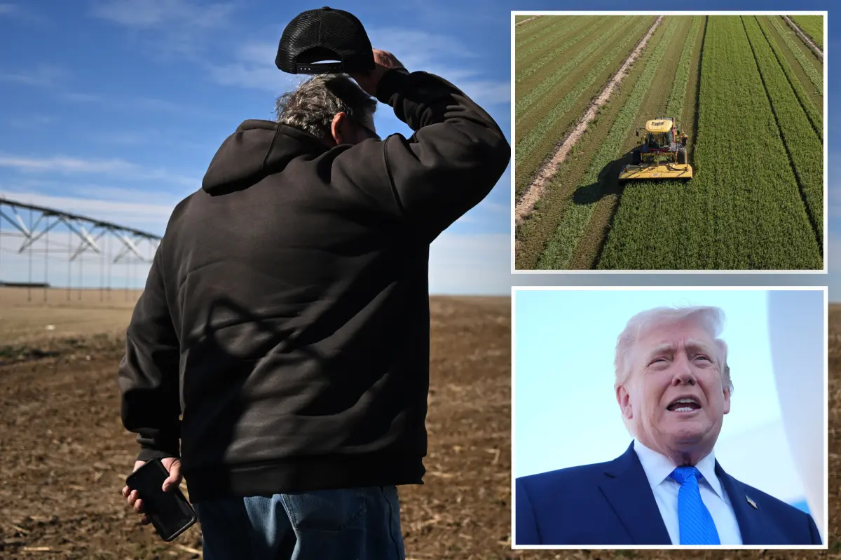 U.S. farmers face challenges from rising costs due to the Iran conflict and tariffs: 'Double impact'