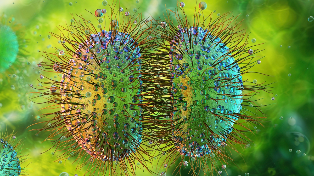 Unheard-of Meningitis Outbreak in the UK Grows to 27 Cases