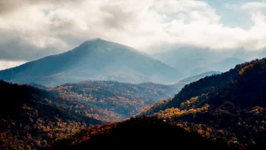 Woman passes away after tumbling from a cliff in Great Smoky Mountains park
