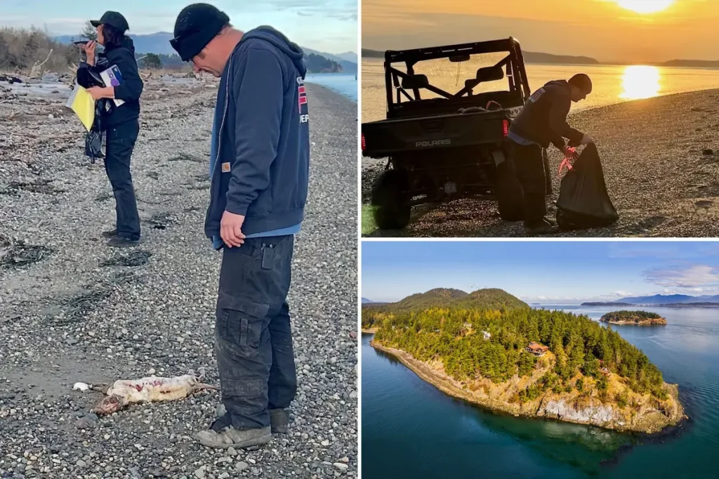 20 dogs discovered dead on the shores of Guemes Island in Washington State