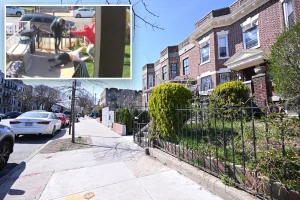 75-year-old New York City grandmother violently attacked after asking for dog waste to be cleaned up – until a neighbor who is a Navy veteran intervenes: video