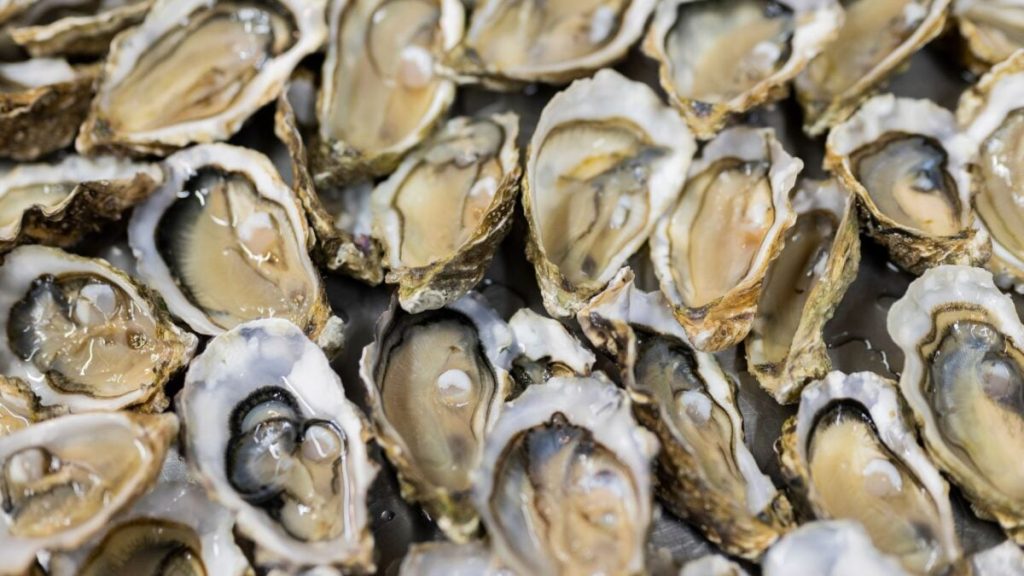 A Harmful Bacteria Is Spreading Along the East Coast. Here’s What It Means for You