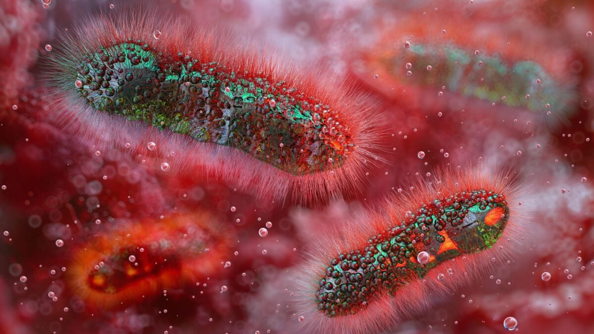 A Health Alert: A Growing Superbug Linked to Diarrhea