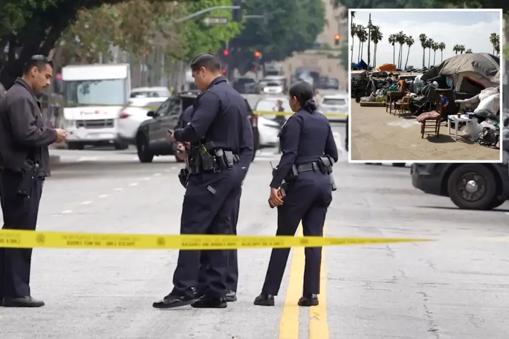 A homeless man suspected in a 2025 tent murder is accused of randomly stabbing an elderly woman in the neck on a downtown street.