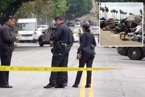 A homeless man suspected in a 2025 tent murder is accused of randomly stabbing an elderly woman in the neck on a downtown street.