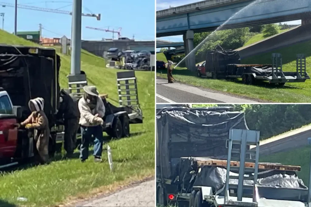 A million bees covered a Tennessee highway following a truck accident.