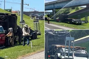 A million bees covered a Tennessee highway following a truck accident.
