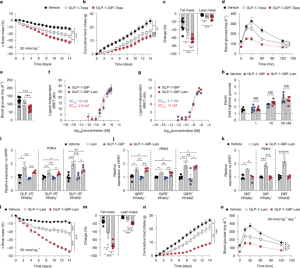 A new treatment targeting five receptors helps reduce obesity and diabetes in mice.