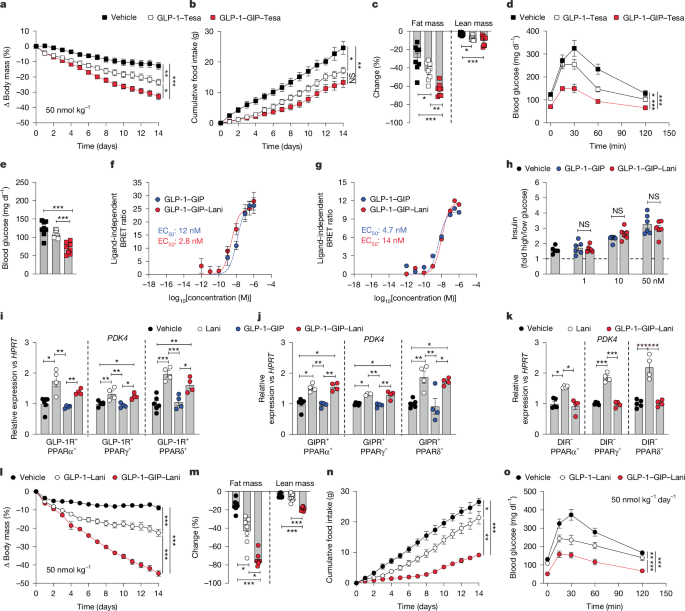 A new treatment targeting five receptors helps reduce obesity and diabetes in mice.