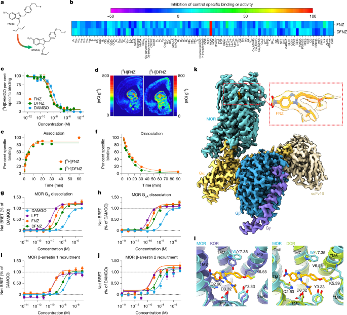 A powerful pain relief medication targeting &micro;-opioid receptors with few side effects