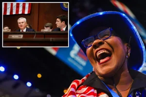 ActBlue's CEO might have deliberately deceived Congress regarding foreign contributions to Democrats, according to the GOP.