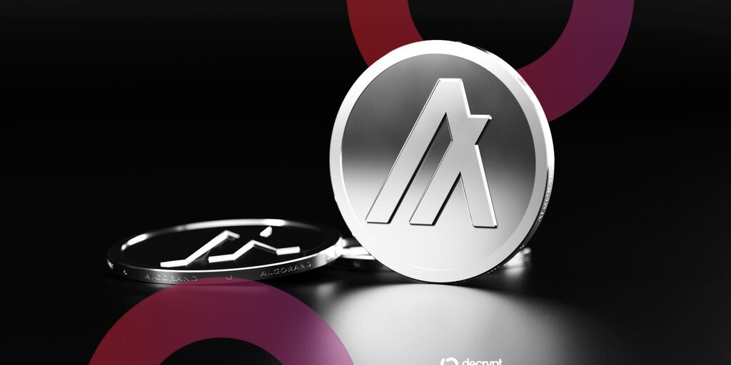 Algorand Rises by Double Digits Following Google’s 'Post-Quantum Protocols' Mention